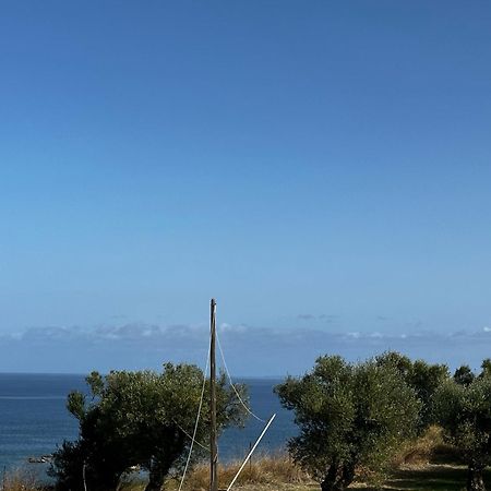 Balcony Boutique Hotel (Adults Only) Tsilivi  Exterior foto